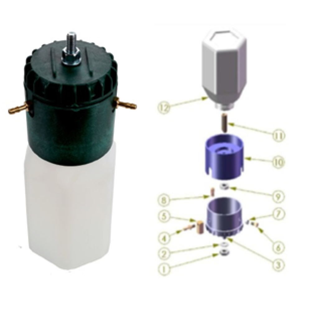 Маслівка (Італія)